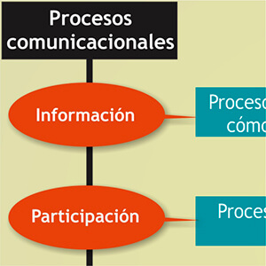 dimensiones